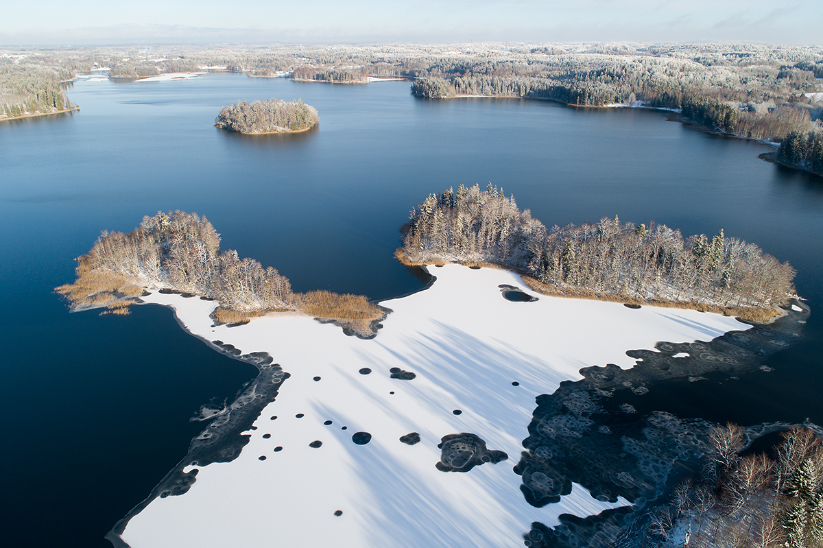 Esimene jää